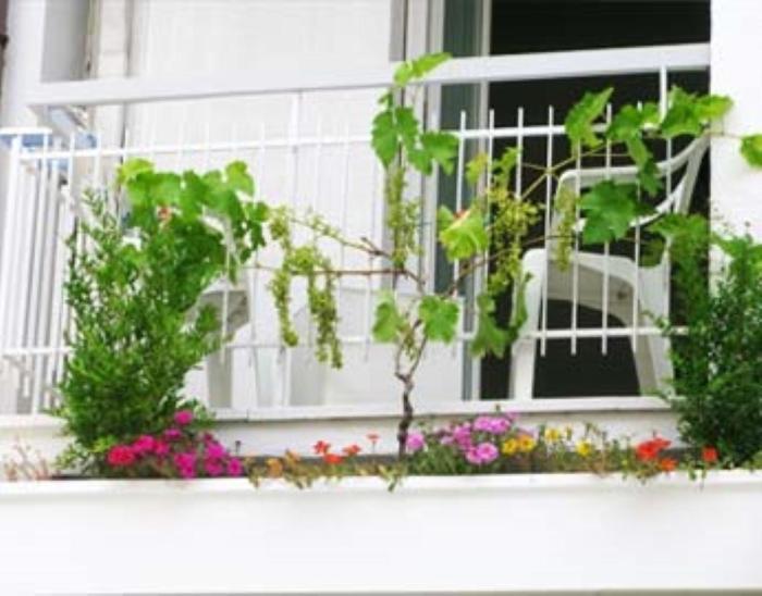 B&B Residence Sorriso カットーリカ エクステリア 写真